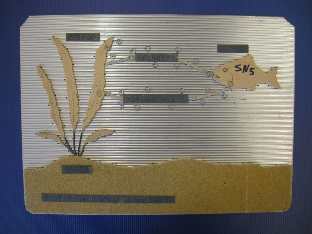 Biologisches Gleichgewicht im Aquarium mediablis